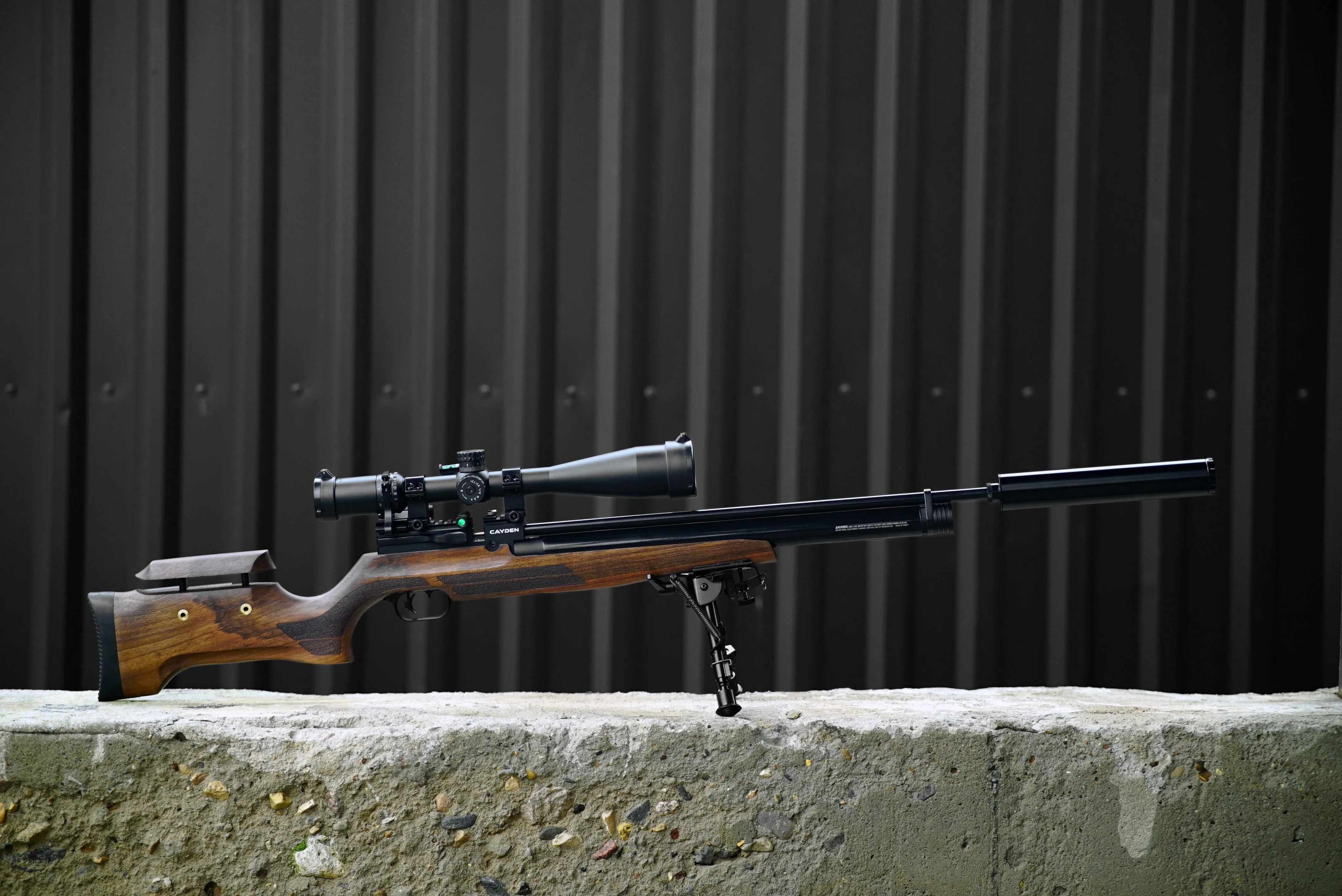 Crosman Benjamin Cayden